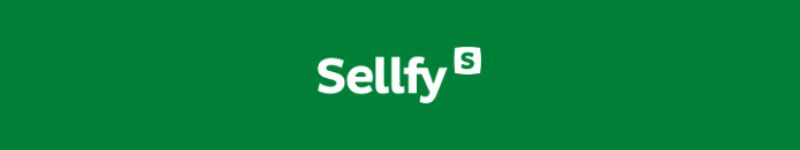 sellfy, online platforrm to sell ebooks